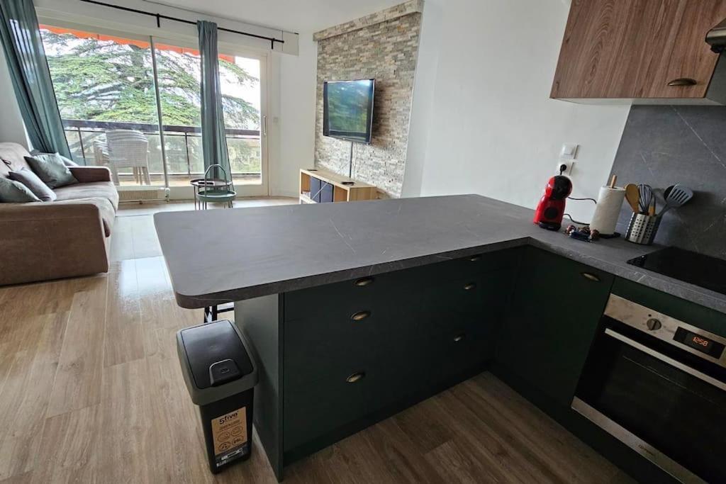 Le Duc Apartment Тонон-ле-Бен Екстериор снимка
